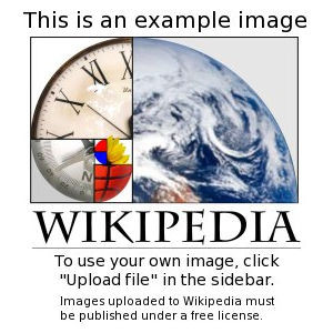 Example.jpg
