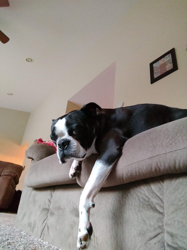 IMG 20181123 075530319.jpg