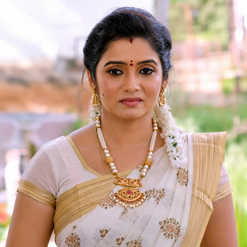 Tamil serial actress and cute actress hot saree (32).png