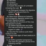 temp.png