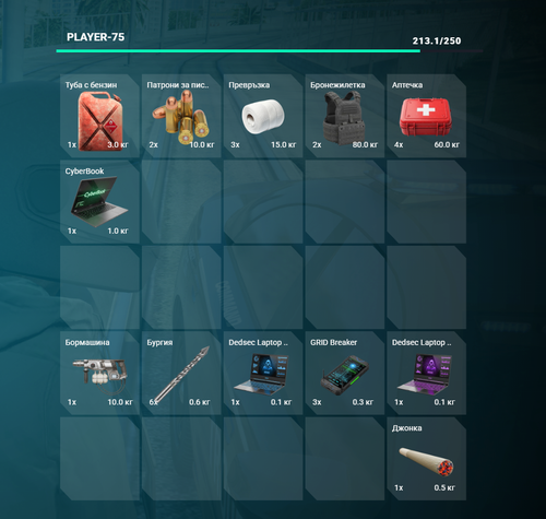 FiveM GTAProcess OEXlVyeETj.png