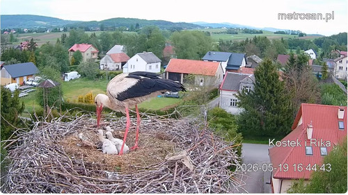 MWSnap439.jpg