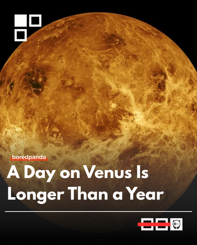 venus.png
