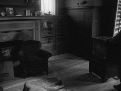 My Winnipeg.2007.720p.BluRay.AVC mfcorrea.0:20:01.optimized=high.png