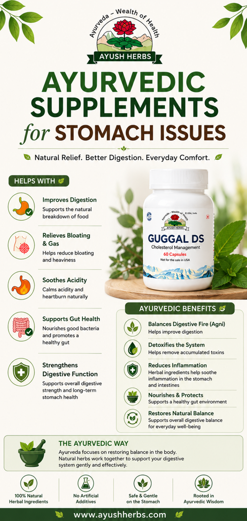 Ayurvedic Supplements for Stomach Issues Natural Support for Better Digestion.png