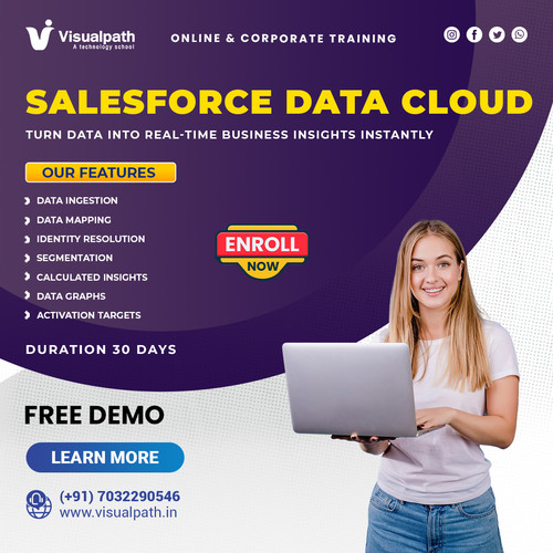 Salesforce Data Cloud Classes | Online Training Course.jpg