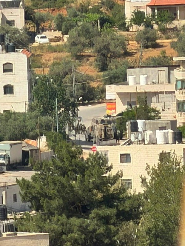 صورة الخبر
