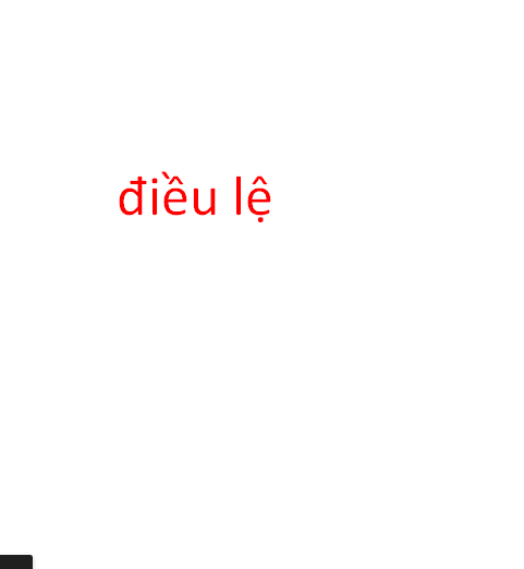 điều lệ.png