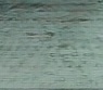 Ground 3.jpg
