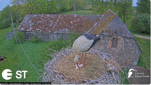 MWSnap784.jpg