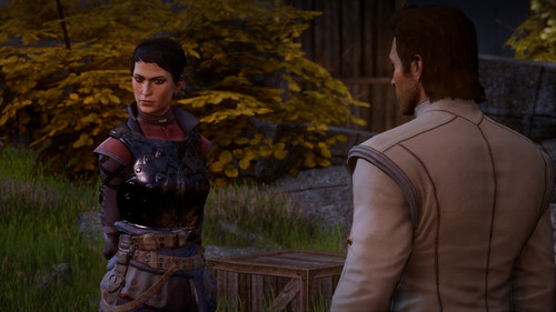 dragon age inquisition 44900729645 o.jpg