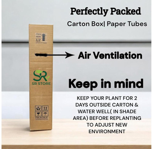 714BGjitMOL. SL1500 .jpg