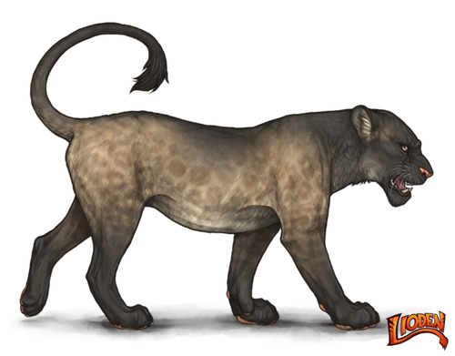 lioden wardrobe (11).png