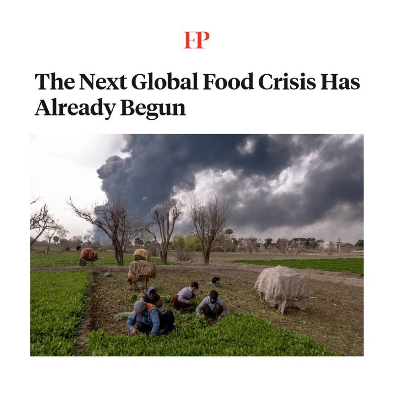مجلة "فورين بوليسي": بدأت مؤشرات أزمة الغذاء العالمية بالظهور فعليًا، بعد اضطراب إمدادات الأسمدة عبر مضيق هرمز، ما وضع ضغوطًا على الإنتاج الزراعي العا...