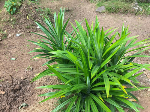 G0 sK3kyKABLZtH3twr4mq XefonnzoI4W SMMMK14D0z t6FpX7IhpRXozd6fKc7SaW O7E2hfngkUIFXWdH9FViX89wMdH2KeL.jpg