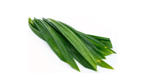 e1bfk7CzTud2 54VAGkbXO5oNZPEuYxi5PtVUZ18 90ZVN0PMVyt3TFmUT IF 2JKikwAcXr6u5SN8GeezJANmJ30YTRB4dtsHAo.jpg