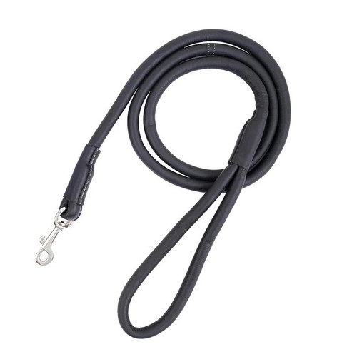 Classic Leather Dog Leashes for Stylish Walks.jpg