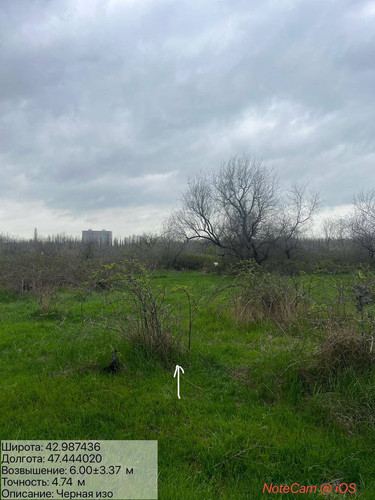 photo 4 2026 04 04 19 37 02.jpg