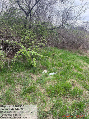 photo 3 2026 04 04 19 37 02.jpg