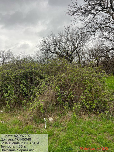 photo 5 2026 04 04 19 37 02.jpg