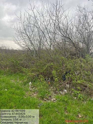 photo 2 2026 04 04 19 37 02.jpg