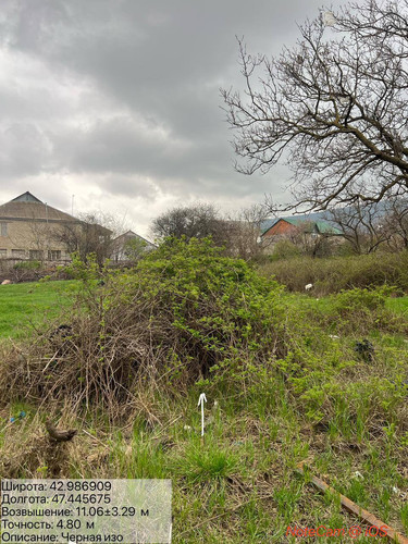 photo 6 2026 04 04 19 37 02.jpg