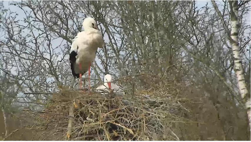 MWSnap925.jpg