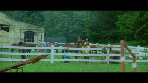 vlcsnap 2026 07 09 17h07m33s618.png