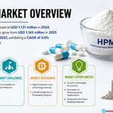 httpswww.24lifesciences.com 2026 07 09T144718.240