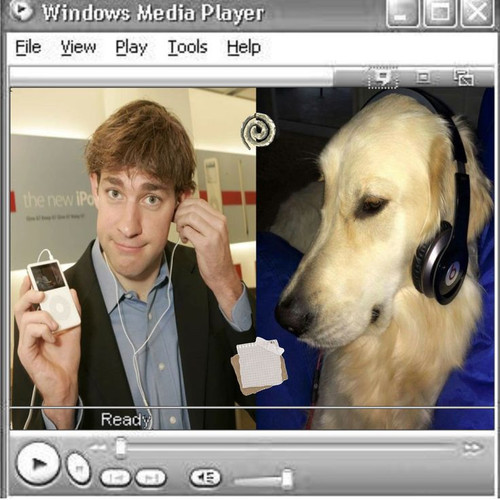 Jim Halpert icon ¡!.jfif.jpg