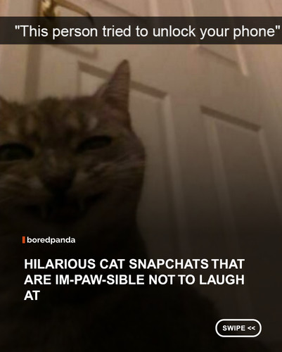 swipe to read.jpg