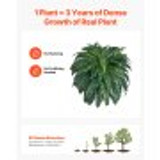 us%2FPZSRZJLZWBHHGT8HJ001V0%2Fgoods thumb v2%2Fartificial ferns f3