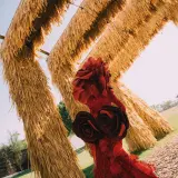 DIARYOFROSS 70