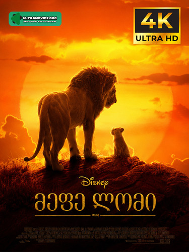 The Lion King Cover.jpg