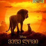 The Lion King Cover