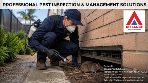 Professional Pest Inspection & Management Solutions.png