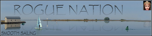 Sail Banner.jpg