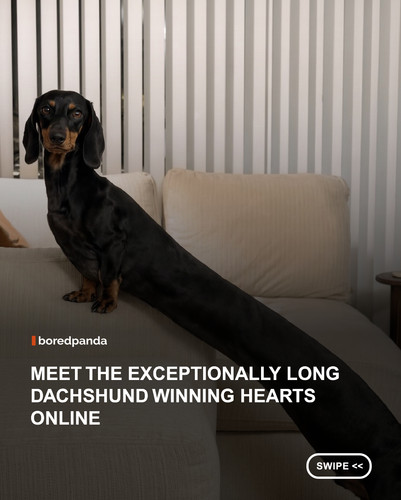 swipe to read.jpg