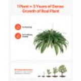 us%2FXDSRZJLZWBHH076QJ001V0%2Fgoods thumb v2%2Fartificial ferns f3