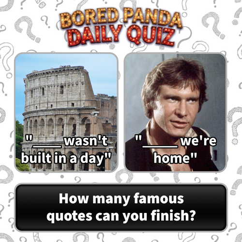image (41).png