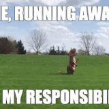 giphy.gif?cid=9b38fe91fqxs6z03p25mmem3jvc3yfqffc05zfbzslyfzm8m&ep=v1 gifs search&rid=giphy.gif