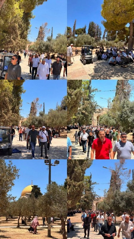 صورة الخبر