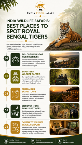 India Wildlife Safaris Best Places to Spot Royal Bengal Tigers.png