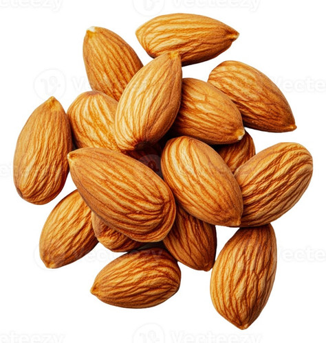 badam pista groundnut kiwi elachi fig dry fruits for flex printing (15)