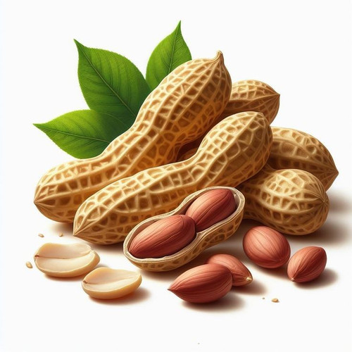 badam pista groundnut kiwi elachi fig dry fruits for flex printing (6)