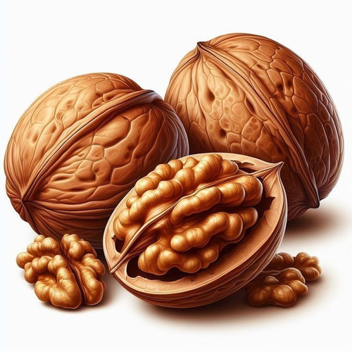 badam pista groundnut kiwi elachi fig dry fruits for flex printing (20)