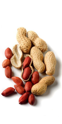 badam pista groundnut kiwi elachi fig dry fruits for flex printing (26)