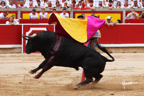 215A0923.jpg