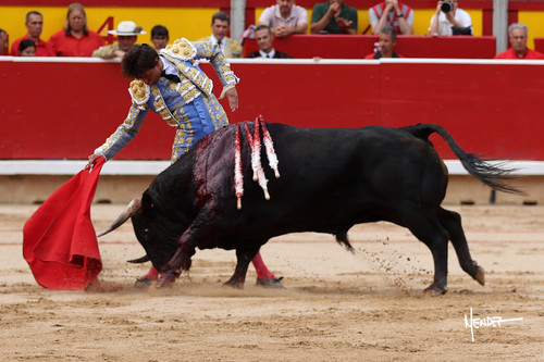 215A1307.jpg
