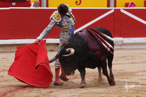 215A1426.jpg